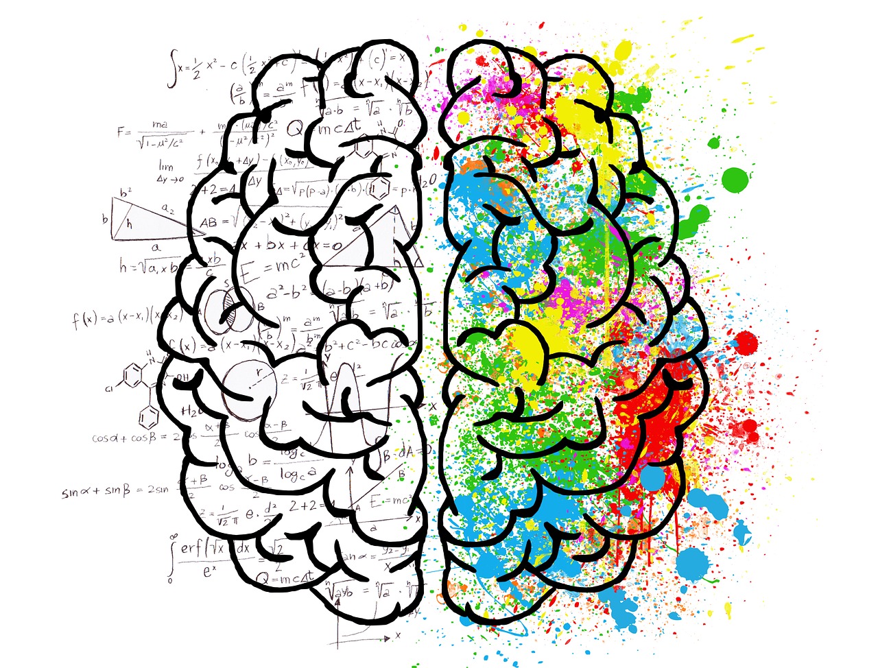 cerebro, mente, psicología neurociencia para todos ciencia del cerebro simple