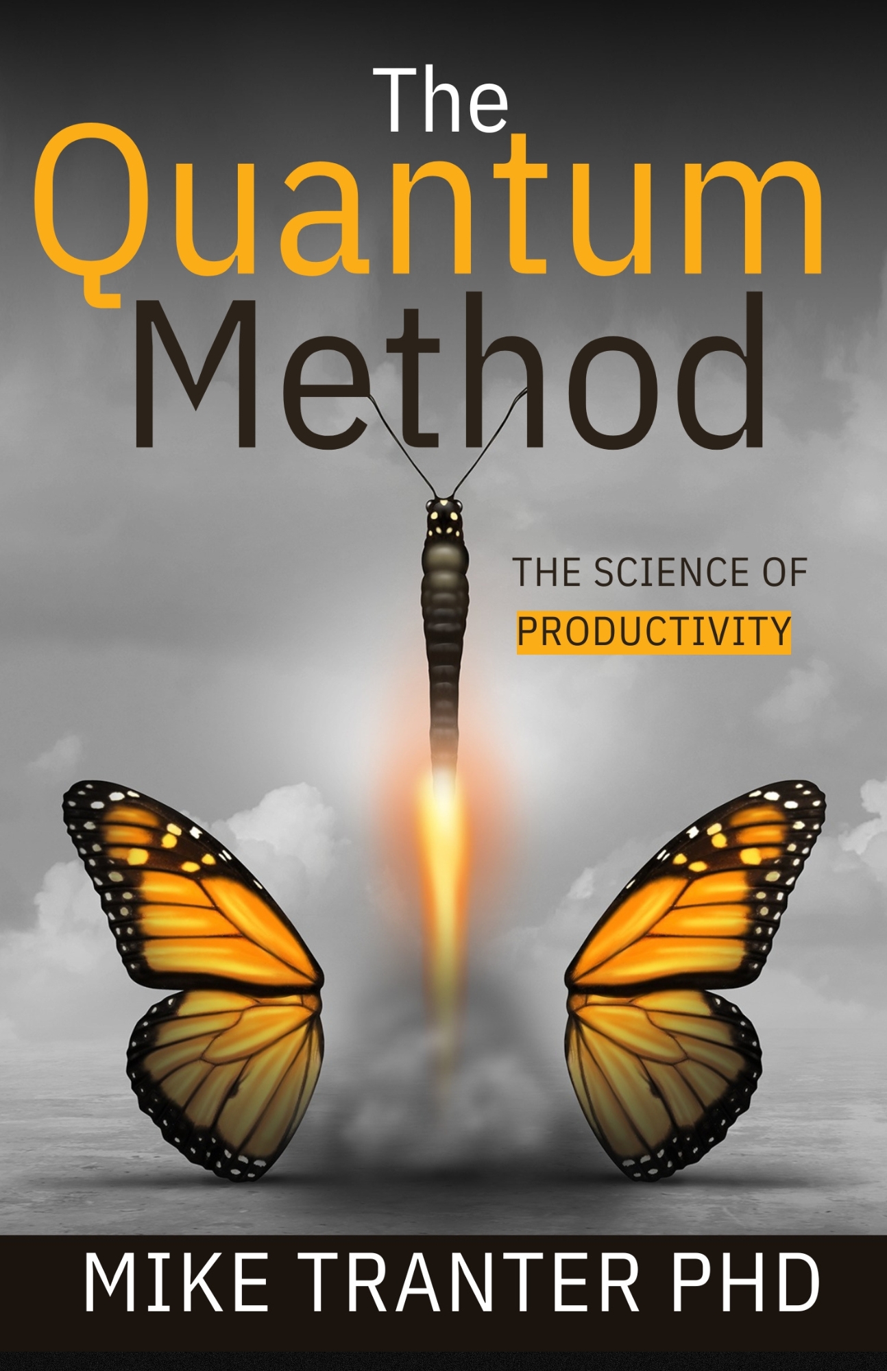 The Quantum Method , maximise productivity Job promotion Side hustle Achieve goals Brain reward system Daily grind Work hard Grind Productive day daily goals